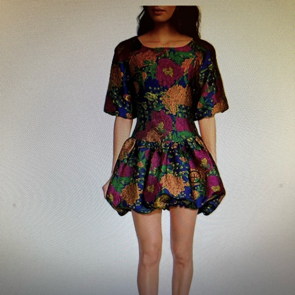 Worn once! Beautiful drop waist bubble dress